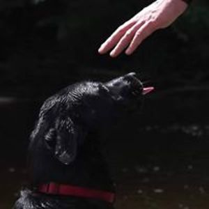 andy_wicksted avatar