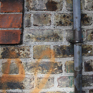 lucymulvihill avatar