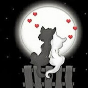 sindhumulpuri avatar