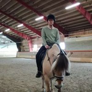 ovreborannveig avatar