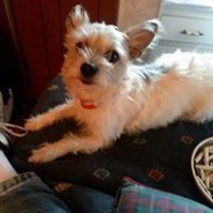 stevemcrain54 avatar