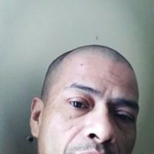 manuelarmenta73 avatar