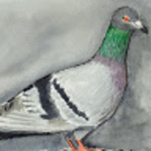 juliaoxenreider avatar