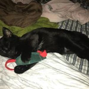 yellow_rose420 avatar