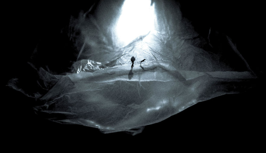 I Captured This Landscape Out Of Recycle Plastic Bags