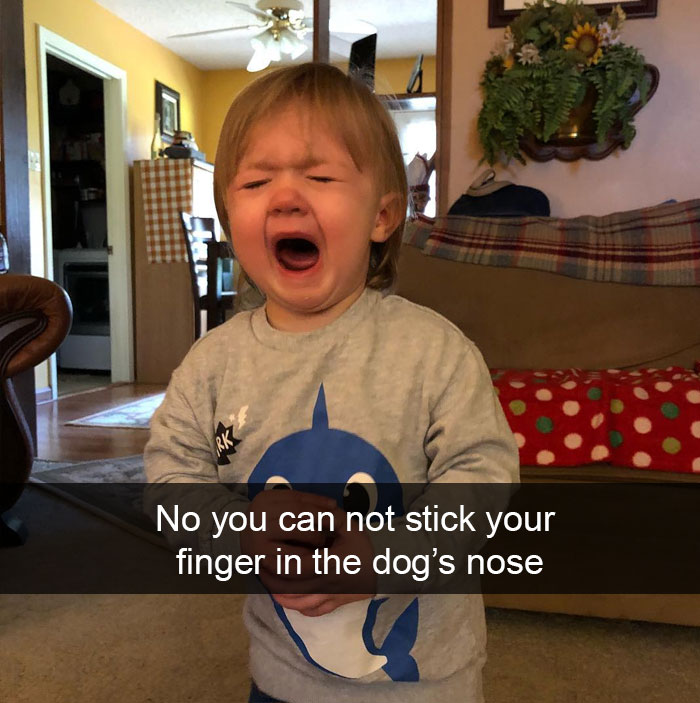 No You Can Not Stick Your Finger In The Dog’s Nose