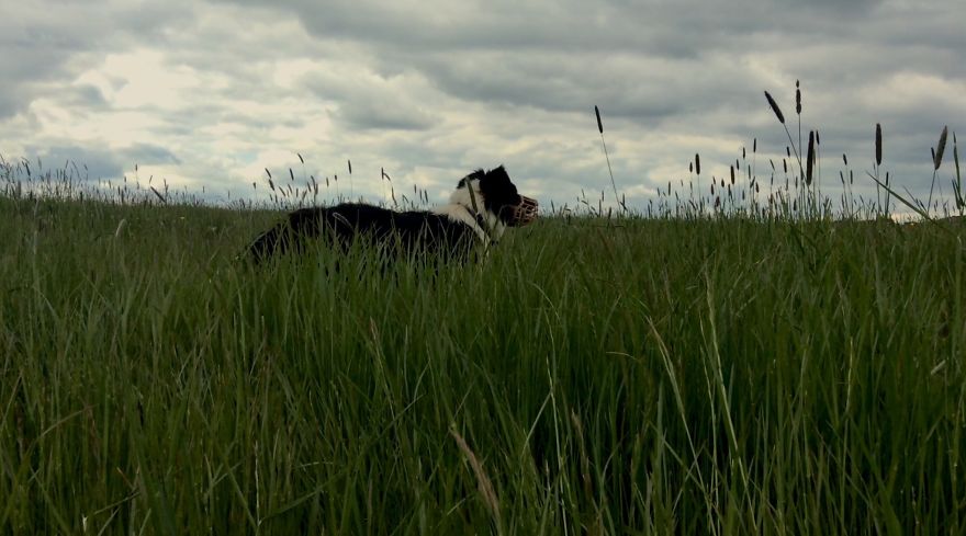 People, Places And Things