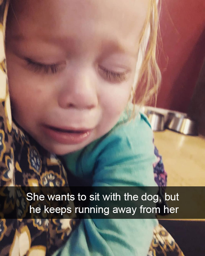 She Wants To Sit With The Dog, But He Keeps Running Away From Her