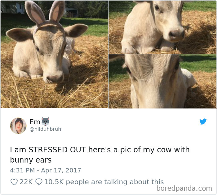 A Little Something For The Stressed