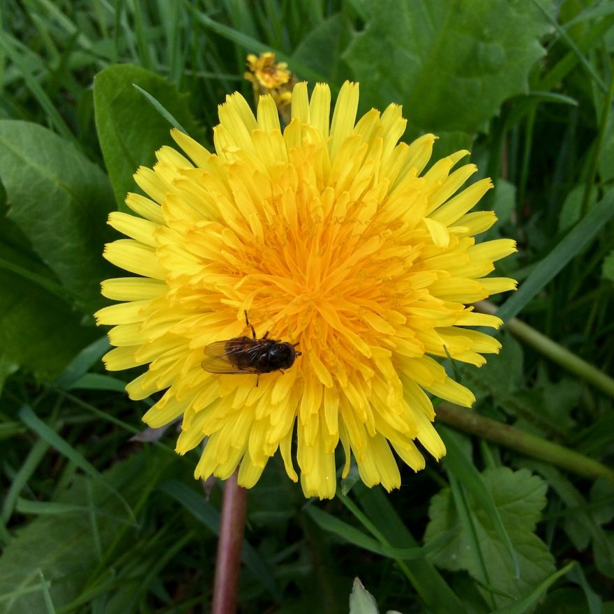 People, Places And Things People, Places And Things