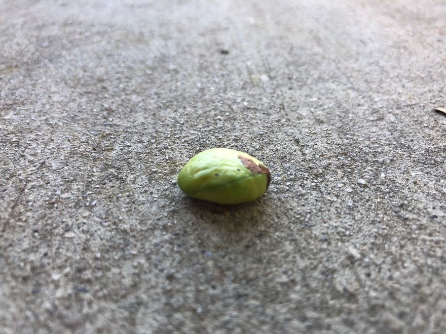 I Draw On Rocks :) I Draw On Rocks :)