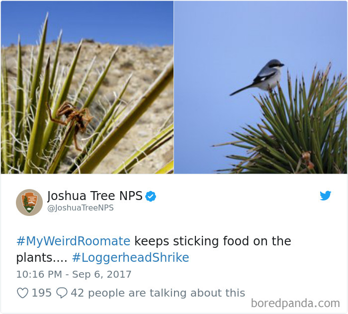 Hashtag-Stories-My-Weird-Roommate-Jimmy-Fallon