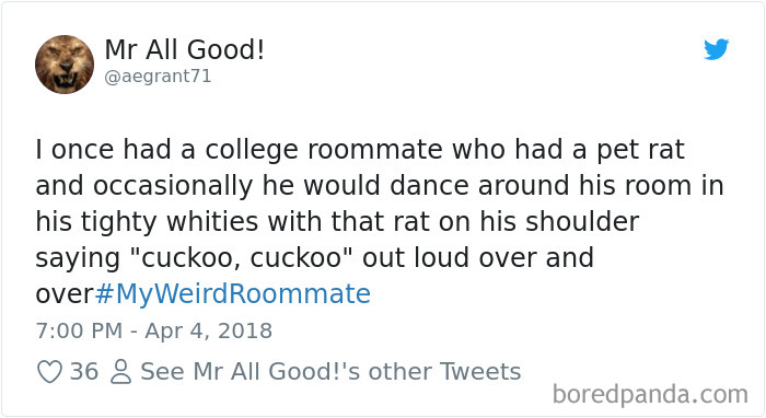 Hashtag-Stories-My-Weird-Roommate-Jimmy-Fallon