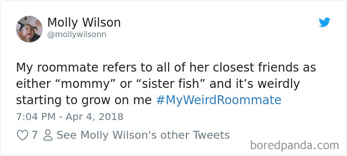 Hashtag-Stories-My-Weird-Roommate-Jimmy-Fallon