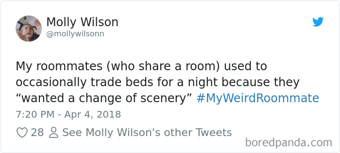 Hashtag-Stories-My-Weird-Roommate-Jimmy-Fallon