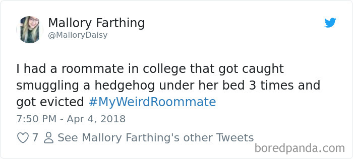 Hashtag-Stories-My-Weird-Roommate-Jimmy-Fallon