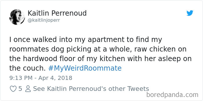 Hashtag-Stories-My-Weird-Roommate-Jimmy-Fallon