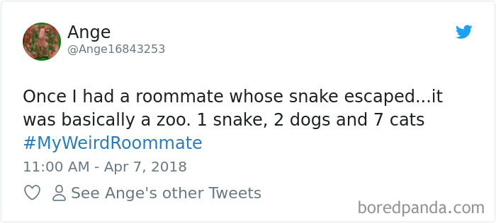 Funny-My-Weird-Roommate-Tweets-Jimmy-Fallon