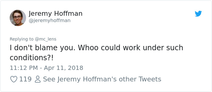 The Internet Can't Stop Laughing At These Owls Who Were Born Outside Of Office Window And Now Do This