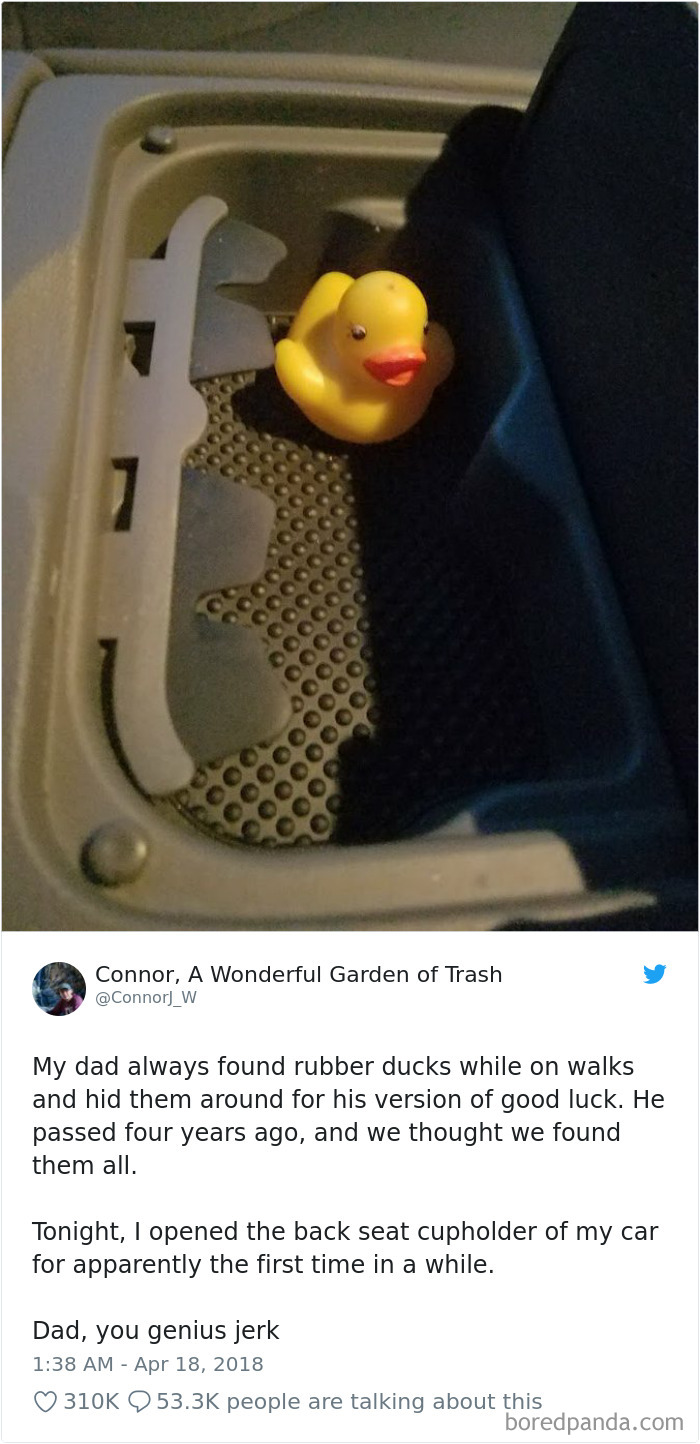 Dad, You Genius Jerk