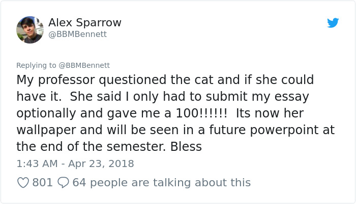 What This Guy Accidentally Sends To His Professor Has Internet In Tears, But Her Response Takes It To Next Level