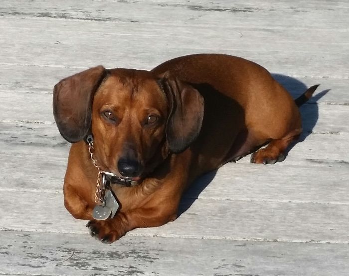 Annie Is Called...annie-Bananie, Banana-Boat, Paddlefoot And Muffinhead...all Appropriate At Various Times.