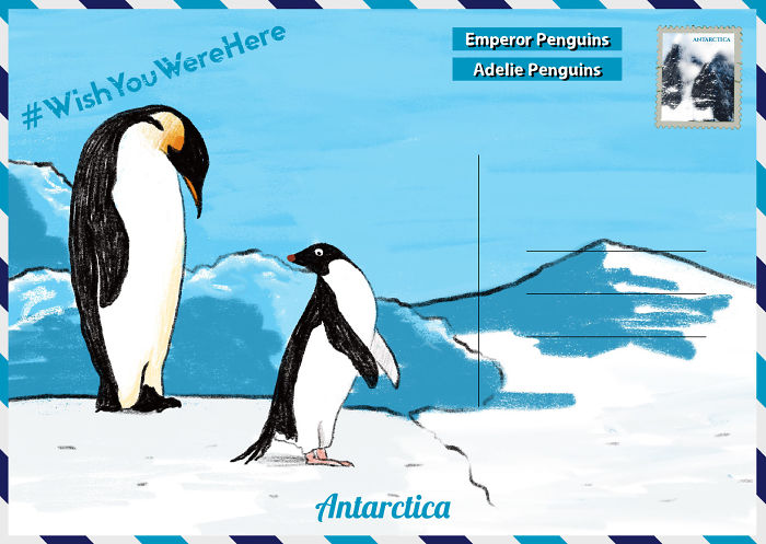 We Created Postcards Showing Where To Find Penguins In The Wild