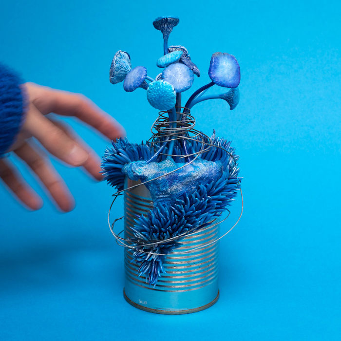 Artist Makes Unexpectedly Colorful Life Forms Grow Out Of Trash