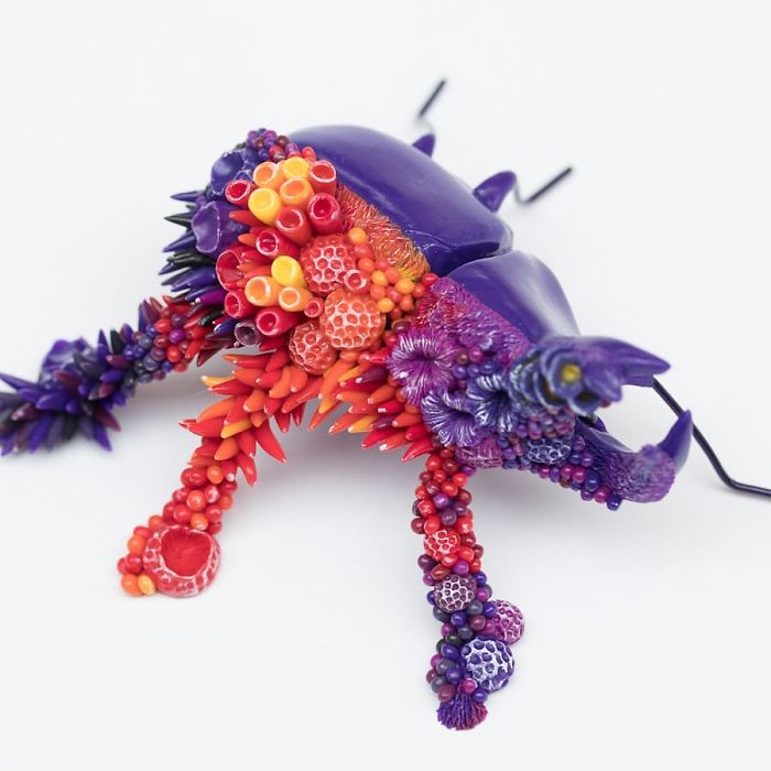 Artist Makes Unexpectedly Colorful Life Forms Grow Out Of Trash