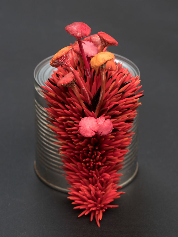 Artist Makes Unexpectedly Colorful Life Forms Grow Out Of Trash