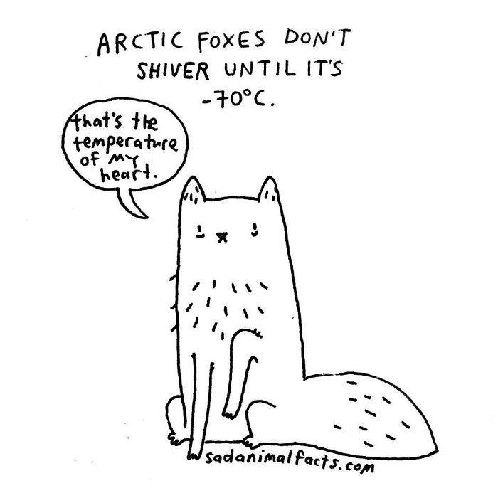 Simple black and white cartoon of an arctic fox with a sad expression sharing a sad animal fact.
