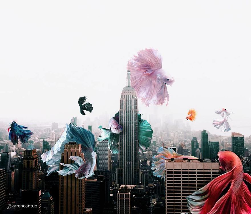 Surreal-Images-Digital-Art-Karencantuq