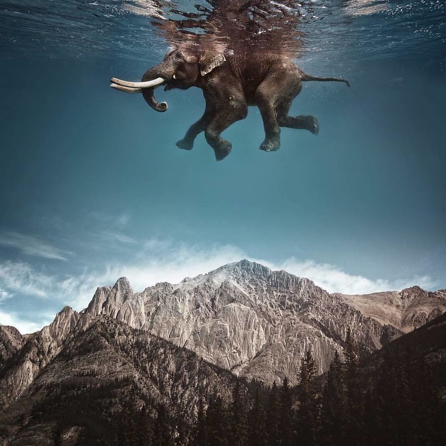 Surreal-Images-Digital-Art-Karencantuq