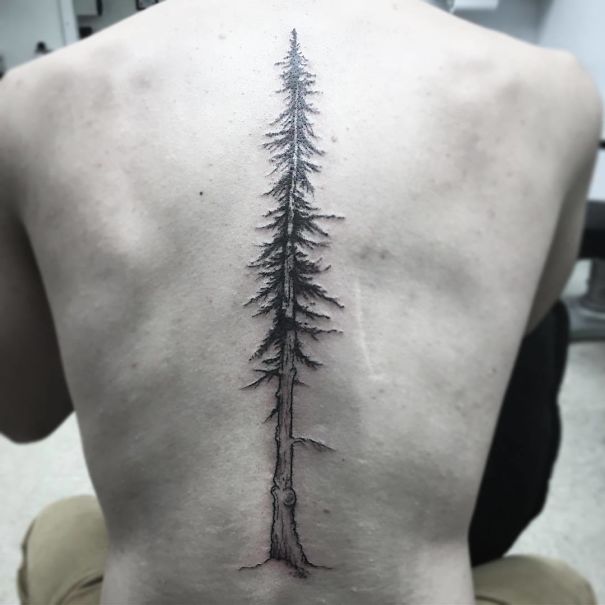 Intricate pine tree spine tattoo design on a person's back, showcasing one of the best spine tattoo ideas.