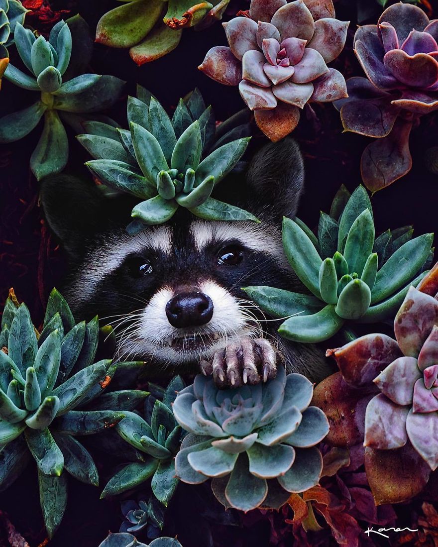 Surreal-Images-Digital-Art-Karencantuq