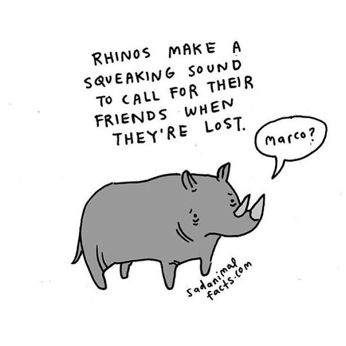 Illustration of a sad rhino squeaking to call friends when lost, highlighting sad animal facts about rhino behavior.
