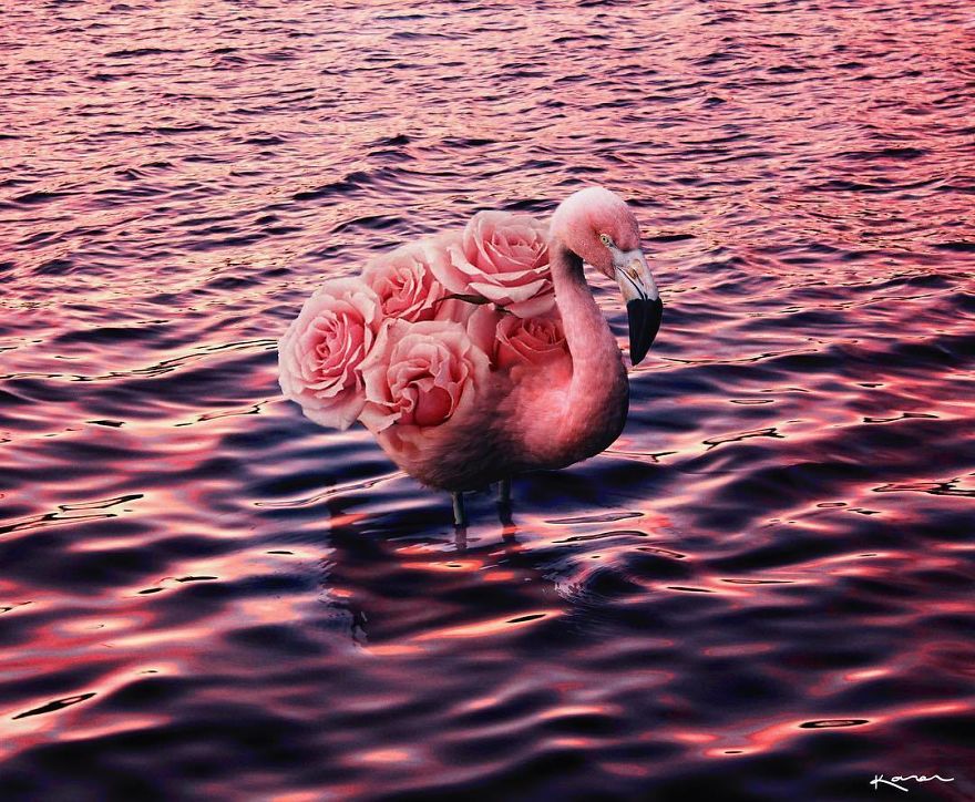 Surreal-Images-Digital-Art-Karencantuq