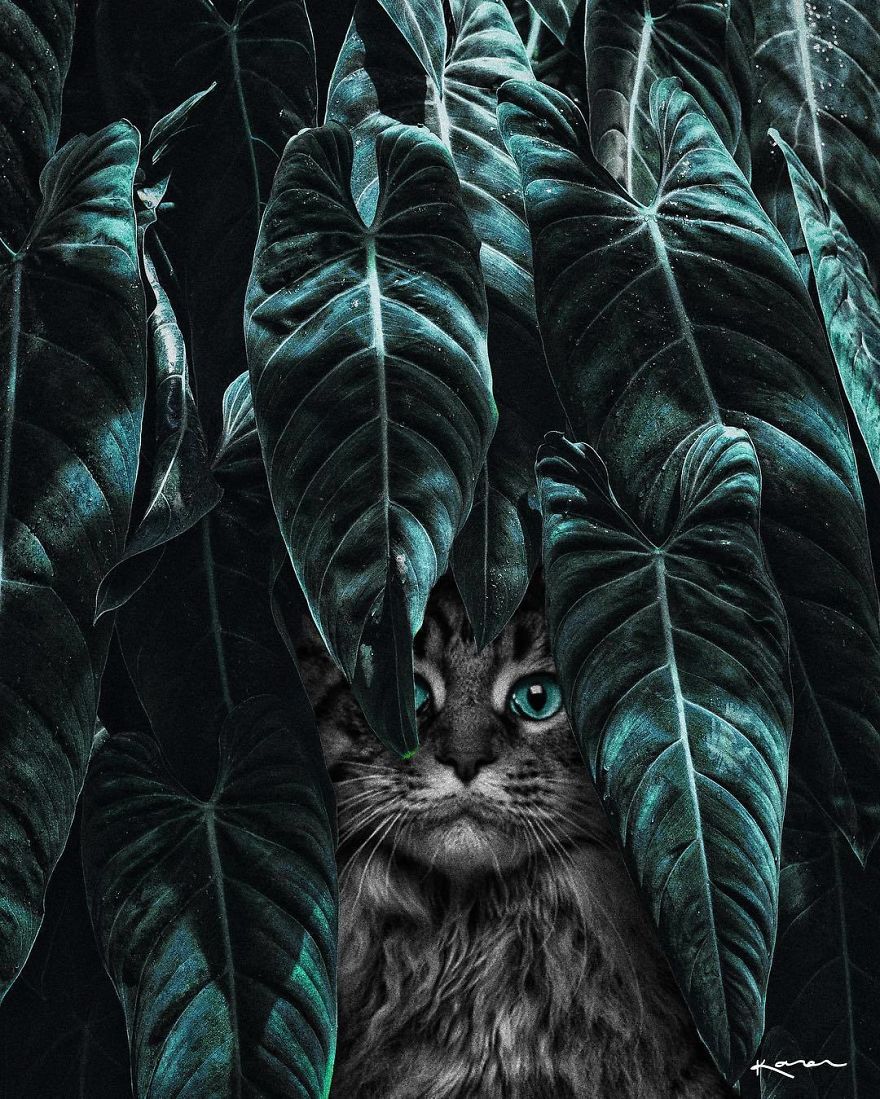 Surreal-Images-Digital-Art-Karencantuq