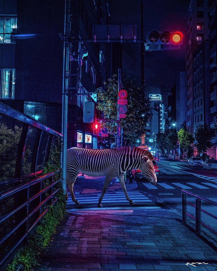 Surreal-Images-Digital-Art-Karencantuq