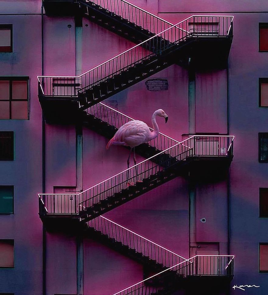 Surreal-Images-Digital-Art-Karencantuq