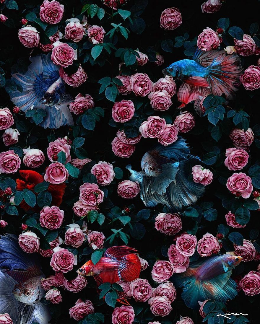 Surreal-Images-Digital-Art-Karencantuq