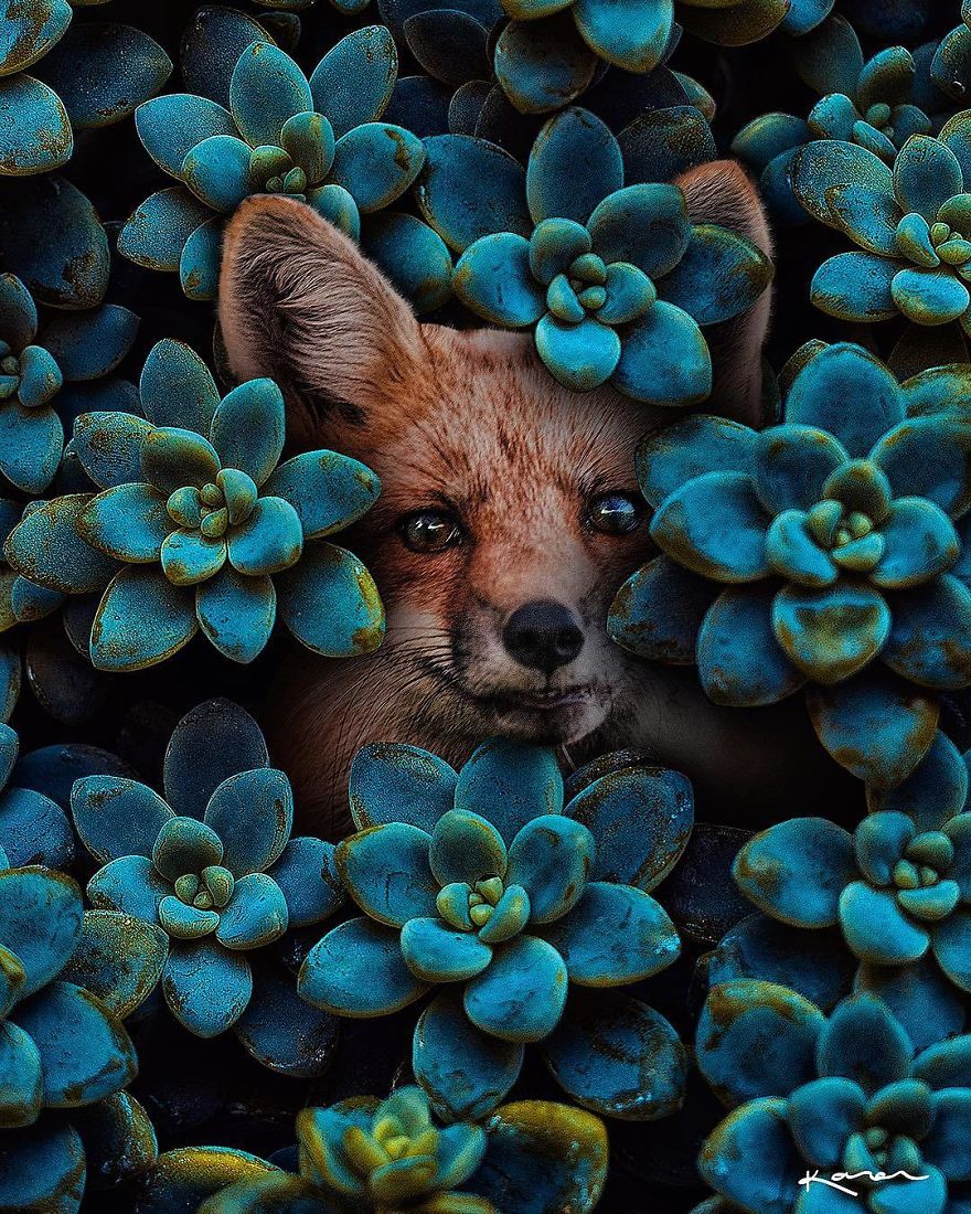 Surreal-Images-Digital-Art-Karencantuq