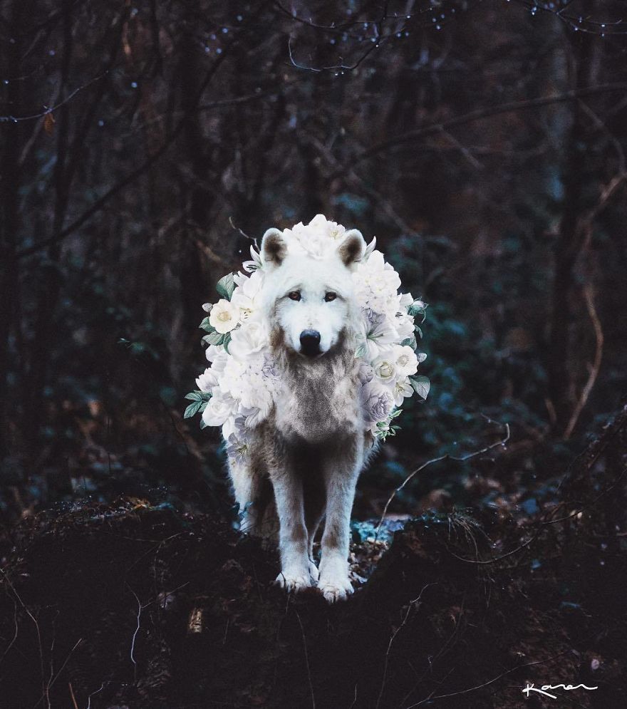 Surreal-Images-Digital-Art-Karencantuq