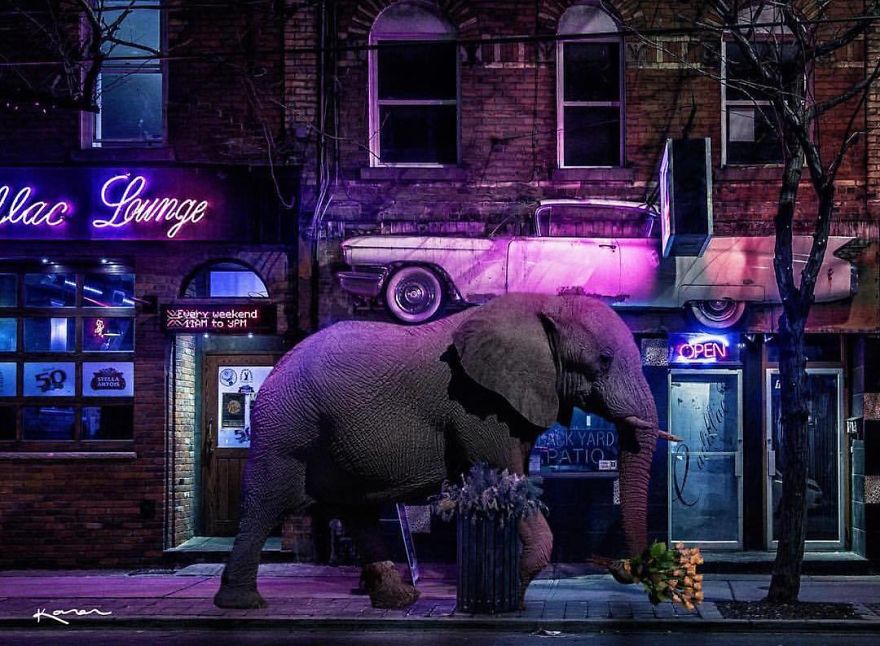 Surreal-Images-Digital-Art-Karencantuq