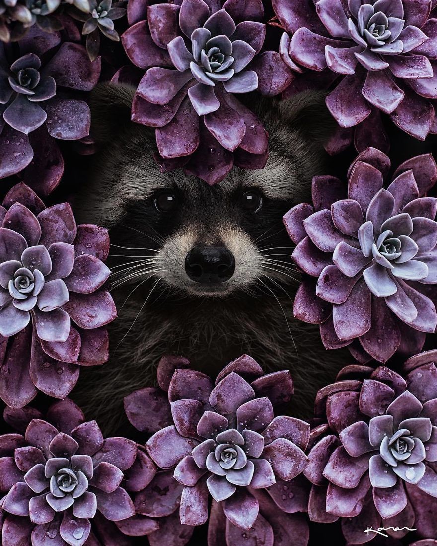 Surreal-Images-Digital-Art-Karencantuq