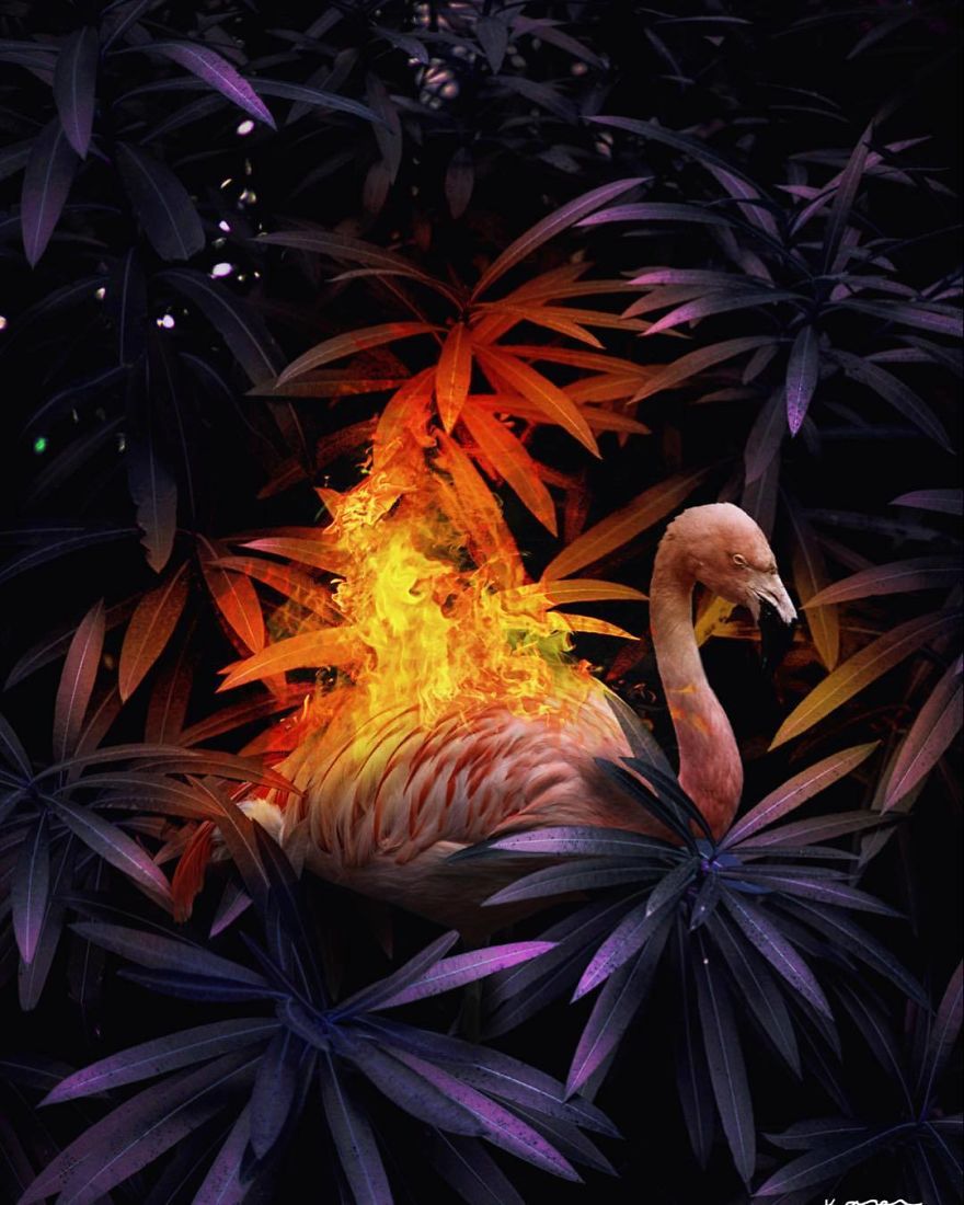 Surreal-Images-Digital-Art-Karencantuq