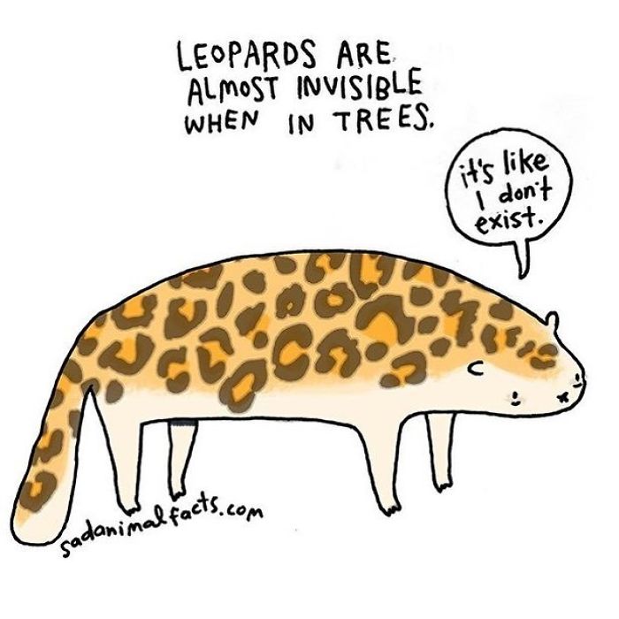 Illustration showing a sad leopard with text about animal facts and its invisibility in trees.