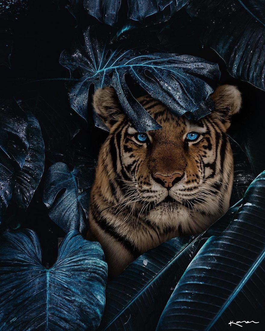 Surreal-Images-Digital-Art-Karencantuq