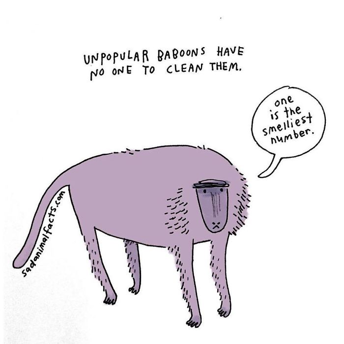 Sad animal fact cartoon showing an unpopular baboon with no one to clean it, highlighting sad animal facts.
