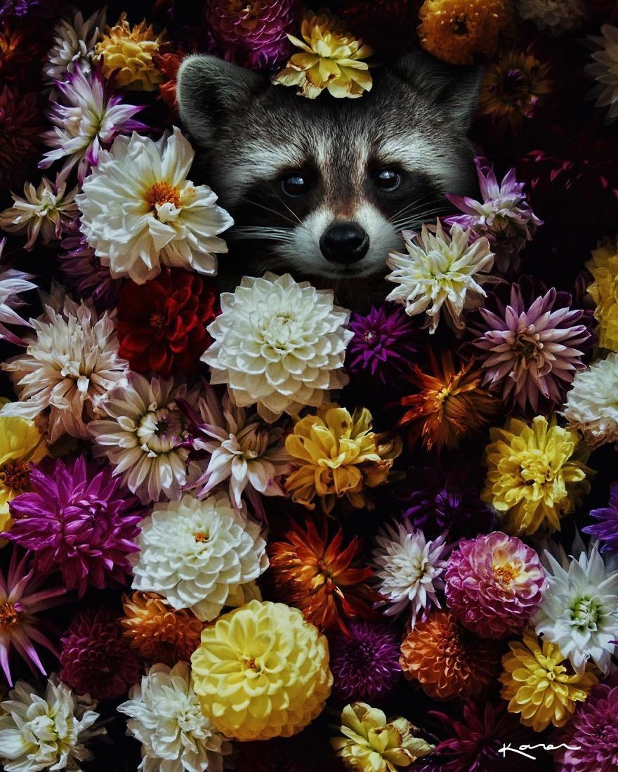 Surreal-Images-Digital-Art-Karencantuq